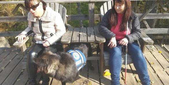 Attēls Ekskursijas un braucieni